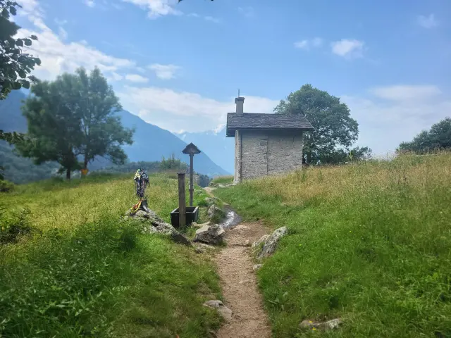Bildbeschreibung 4