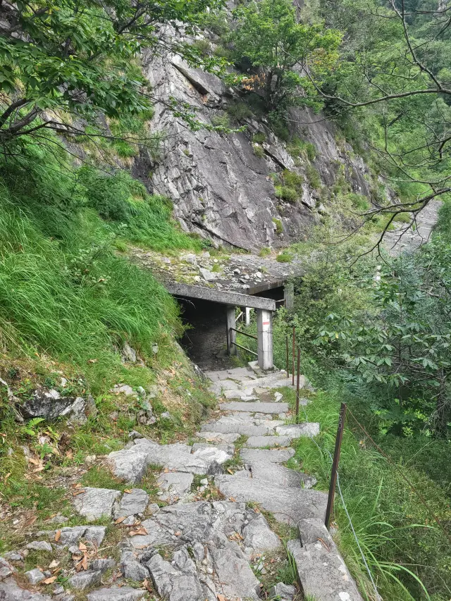 Bildbeschreibung 4